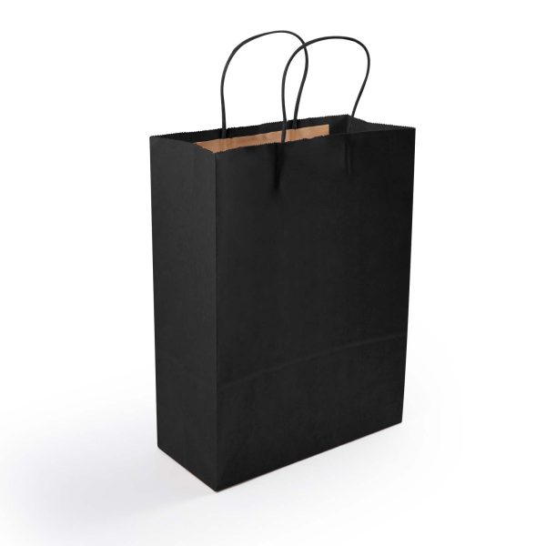 Express Paper Bag Medium - Image 3