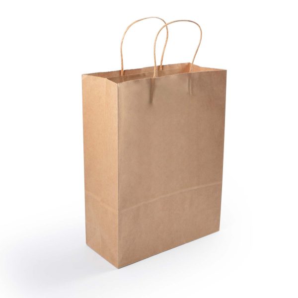 Express Paper Bag Medium - Image 4