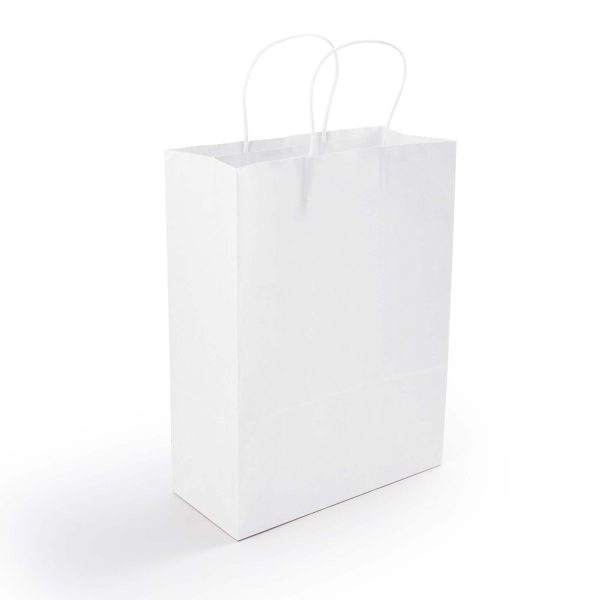 Express Paper Bag Medium - Image 5