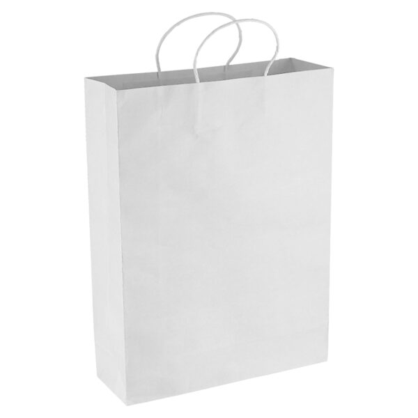 Paper Kraft Shopping Bag - Image 3