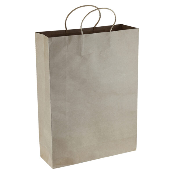 Paper Kraft Shopping Bag - Image 4