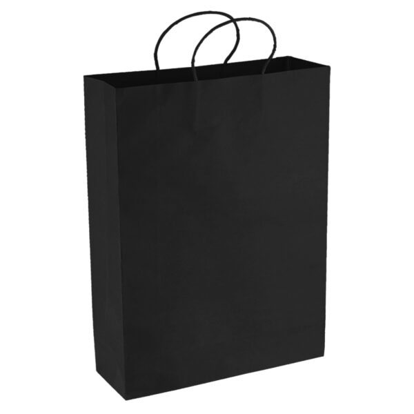 Paper Kraft Shopping Bag - Image 5