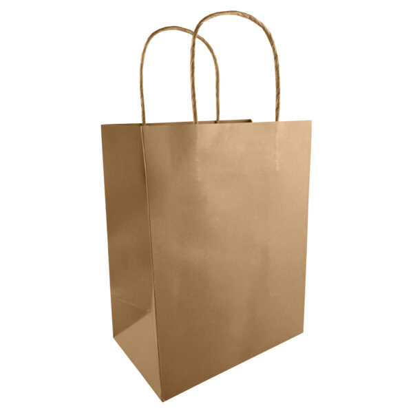 Medium Kraft Paper Bag - Image 4