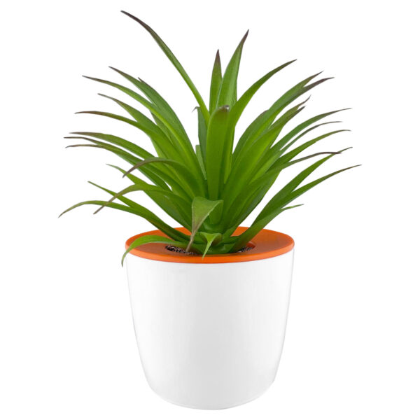 Mini Desk Plant Pot - Image 2